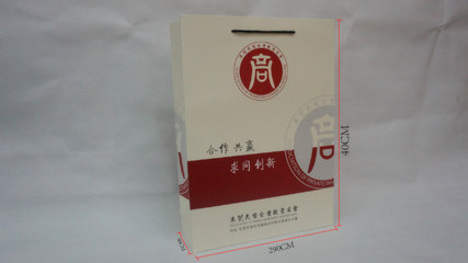 東莞市彩都實業(yè) 專業(yè)訂做紙質(zhì)禮品手提袋，一站式包裝解決方案